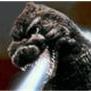 WillD44 Profile Picture